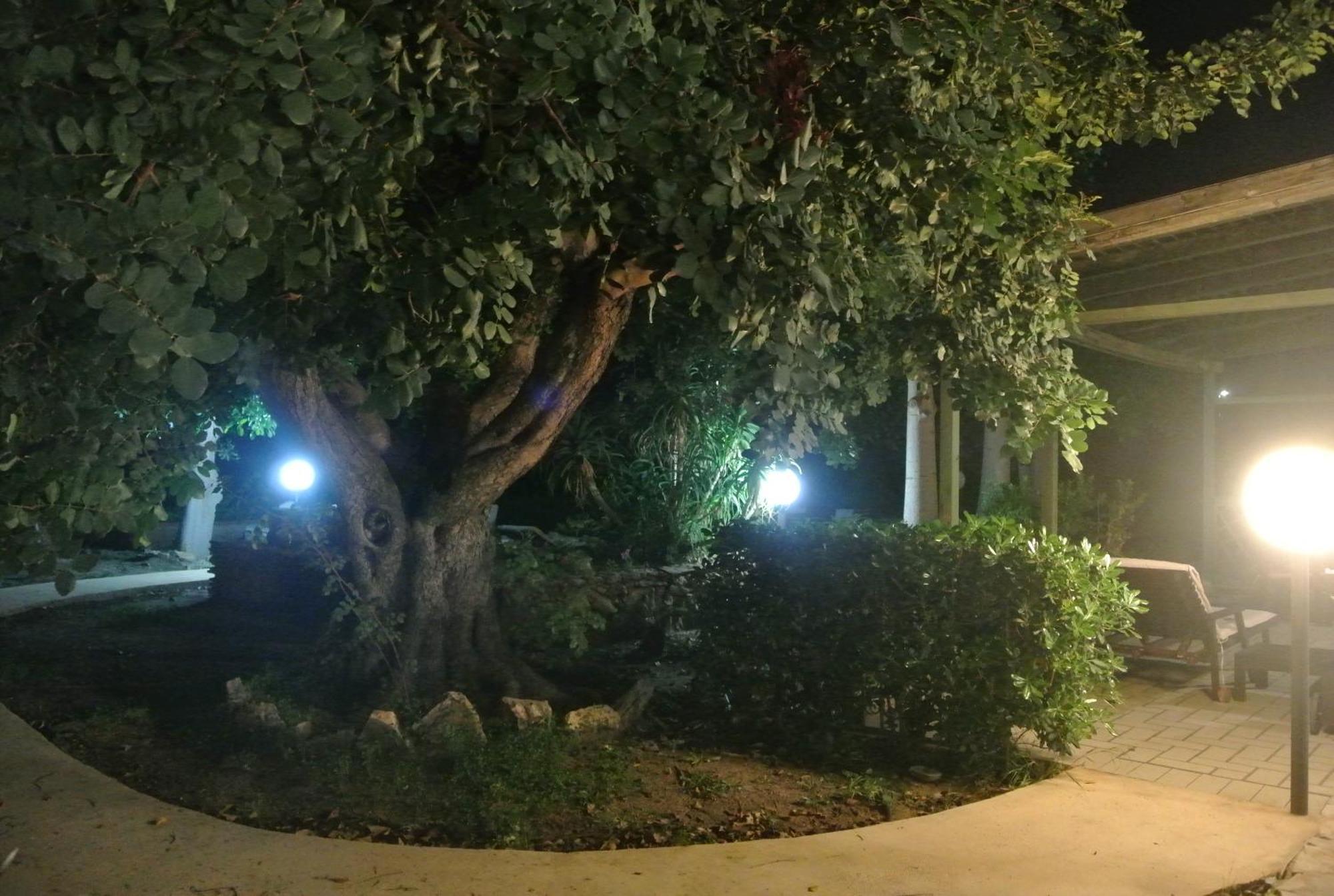 Villa Carlotta Resort San Leone Luaran gambar
