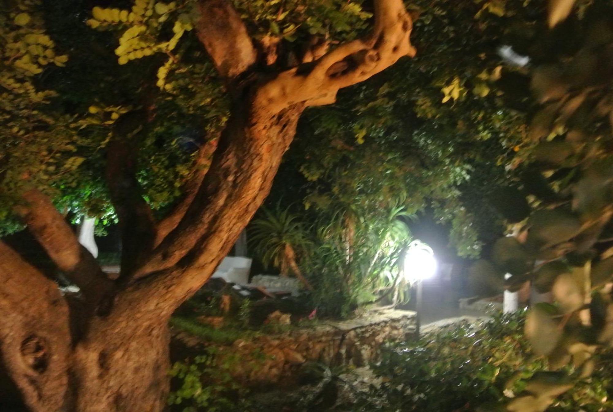 Villa Carlotta Resort San Leone Luaran gambar